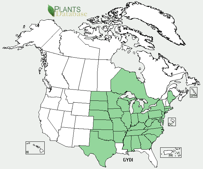 Kentucky Coffeetree is native to the eastern half of the United States (except Florida and Louisiana) and may be found in Ontario, Canada, as well