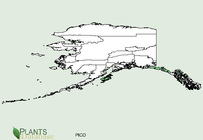 Lodgepole Pine occurs along the panhandle of Alaska
